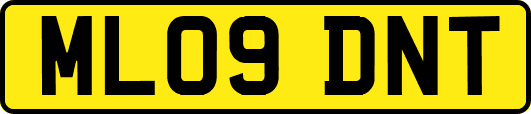 ML09DNT