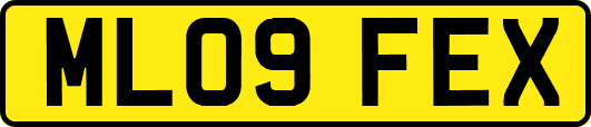 ML09FEX