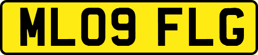 ML09FLG