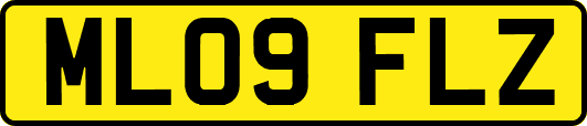 ML09FLZ