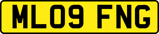 ML09FNG
