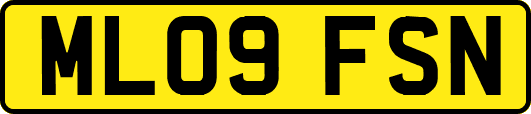 ML09FSN