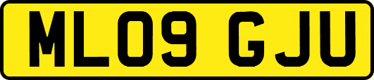 ML09GJU