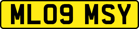 ML09MSY