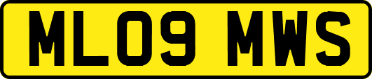 ML09MWS