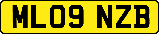 ML09NZB