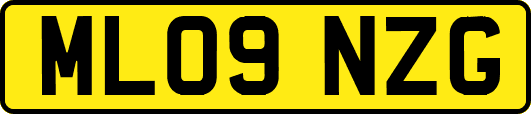 ML09NZG