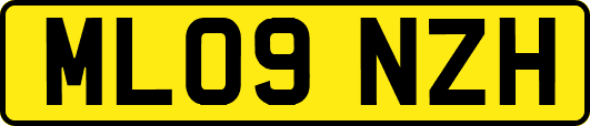 ML09NZH