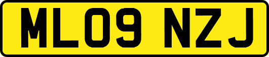 ML09NZJ