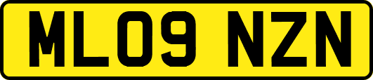 ML09NZN