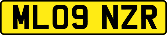 ML09NZR