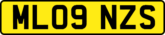 ML09NZS