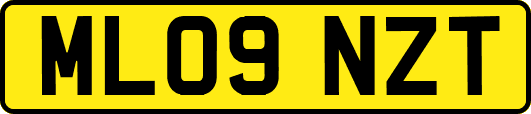 ML09NZT
