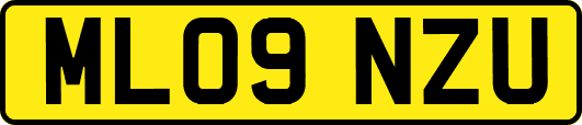 ML09NZU