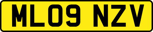 ML09NZV