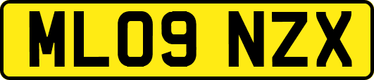 ML09NZX