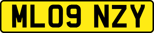 ML09NZY