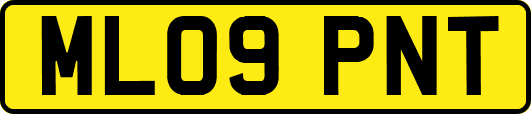 ML09PNT