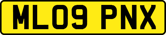 ML09PNX
