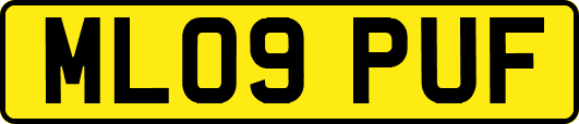 ML09PUF
