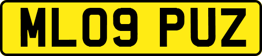 ML09PUZ