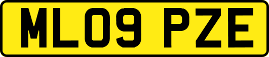 ML09PZE