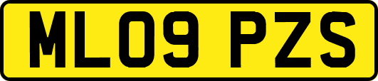 ML09PZS