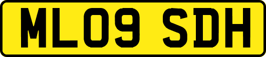 ML09SDH