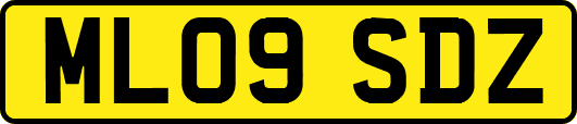 ML09SDZ