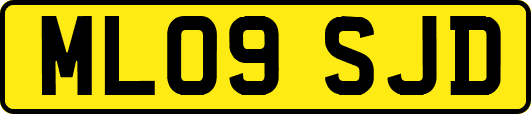 ML09SJD