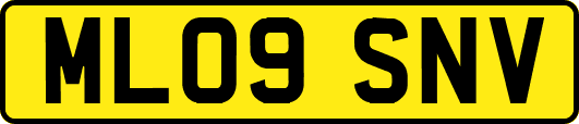 ML09SNV