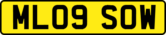 ML09SOW