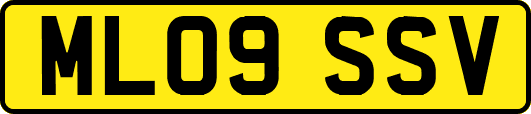 ML09SSV