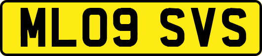 ML09SVS