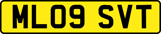 ML09SVT