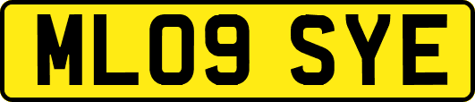 ML09SYE