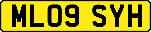 ML09SYH