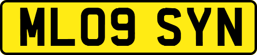 ML09SYN