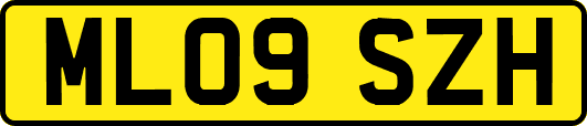 ML09SZH