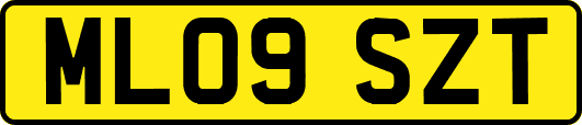 ML09SZT