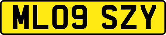 ML09SZY