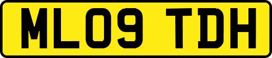 ML09TDH