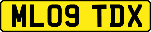 ML09TDX
