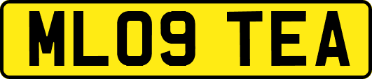 ML09TEA