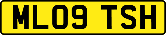 ML09TSH