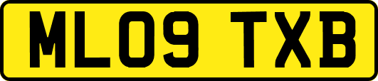 ML09TXB