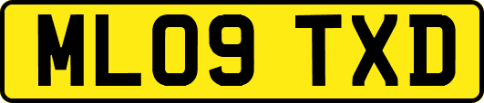 ML09TXD