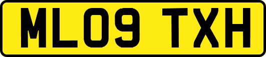 ML09TXH