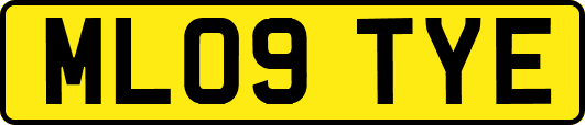 ML09TYE