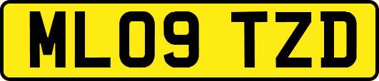 ML09TZD